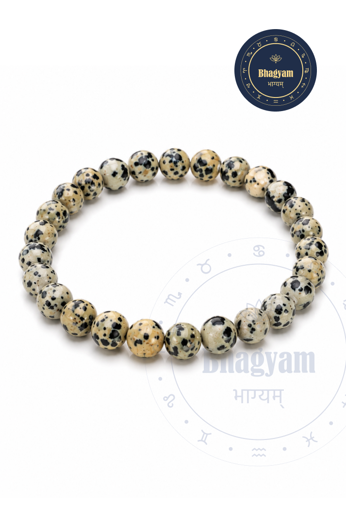 Dalmatian Jasper Bracelet